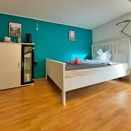 Mit Garten - Naehe Universitaetsklinikum Neuenheim Apartamento