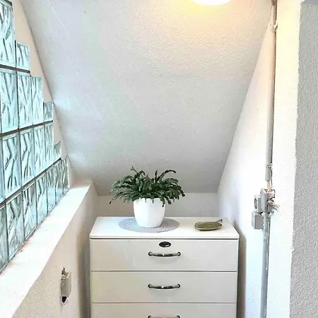 Mit Garten - Naehe Universitaetsklinikum Neuenheim Apartman Heidelberg
