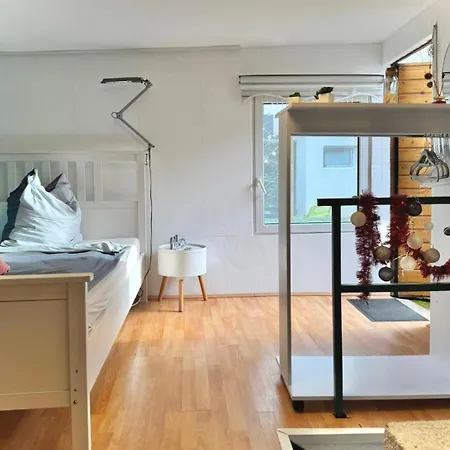 Apartman Mit Garten - Naehe Universitaetsklinikum Neuenheim *